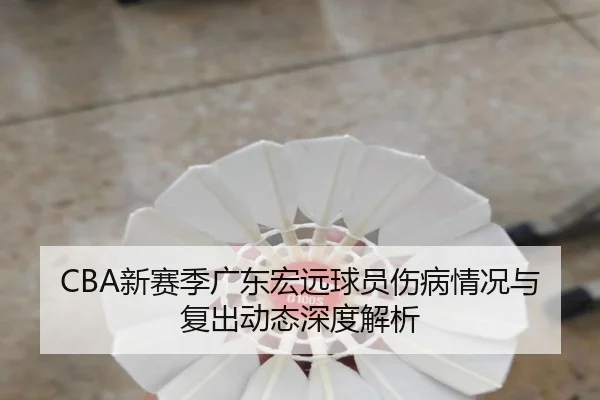 CBA新赛季广东宏远球员伤病情况与复出动态深度解析